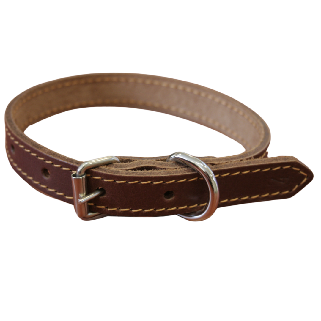 Bubbles And Zeus Leather dog collar - Peacan