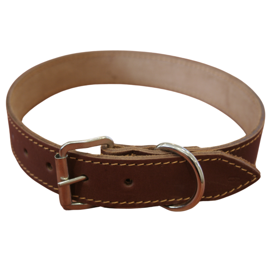 Bubbles And Zeus Leather dog collar - Peacan