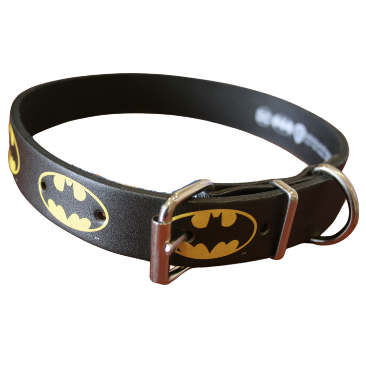 Batman dog clearance collar