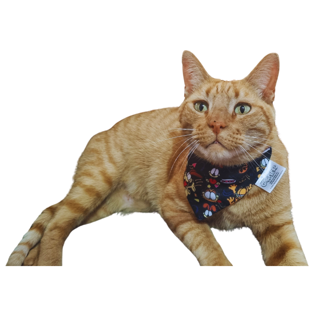 Garfield Cat Bandana - Black