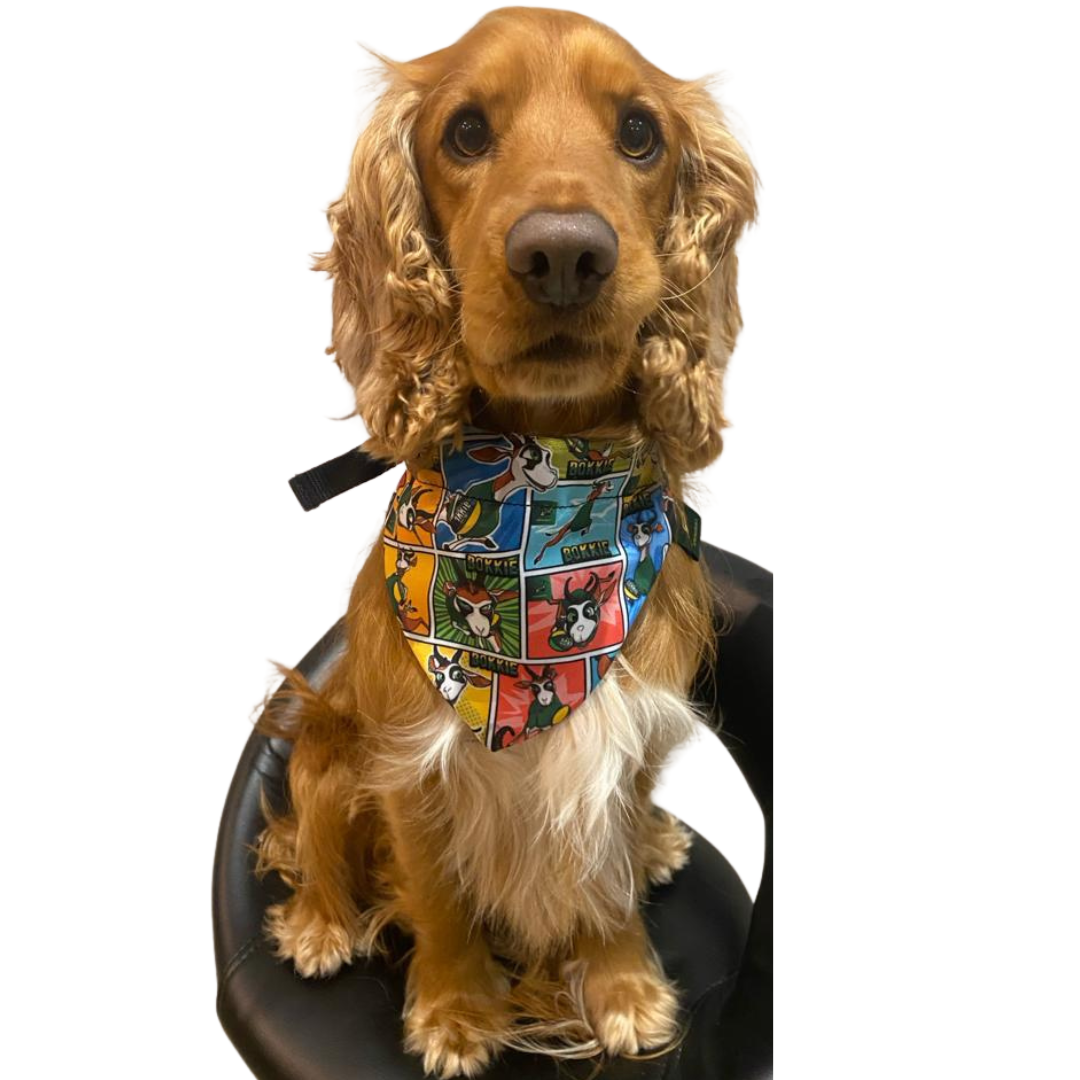 Bokkie Bandana Collar