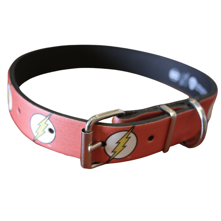 The flash clearance dog collar