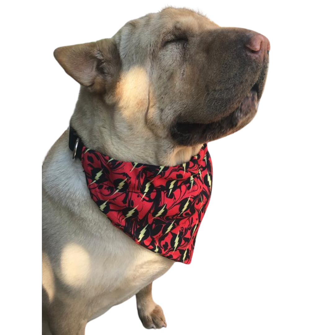 Flash Bandana With Collar