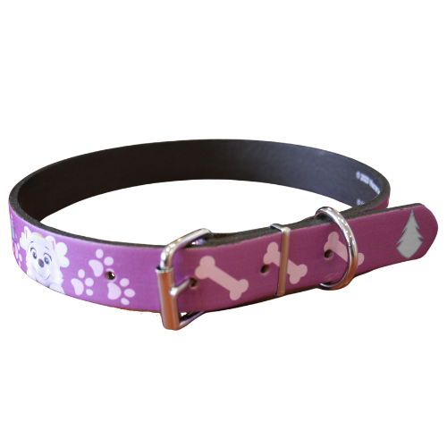 Paw Patrol Everest Leather Collar