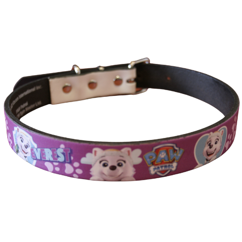 Paw Patrol Everest Leather Collar