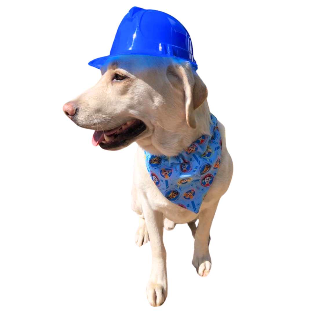 Paw Patrol Blue Bandana Collar