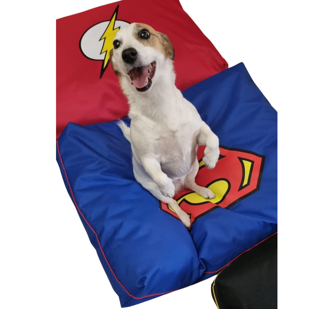 Superman Pet Bed With Print