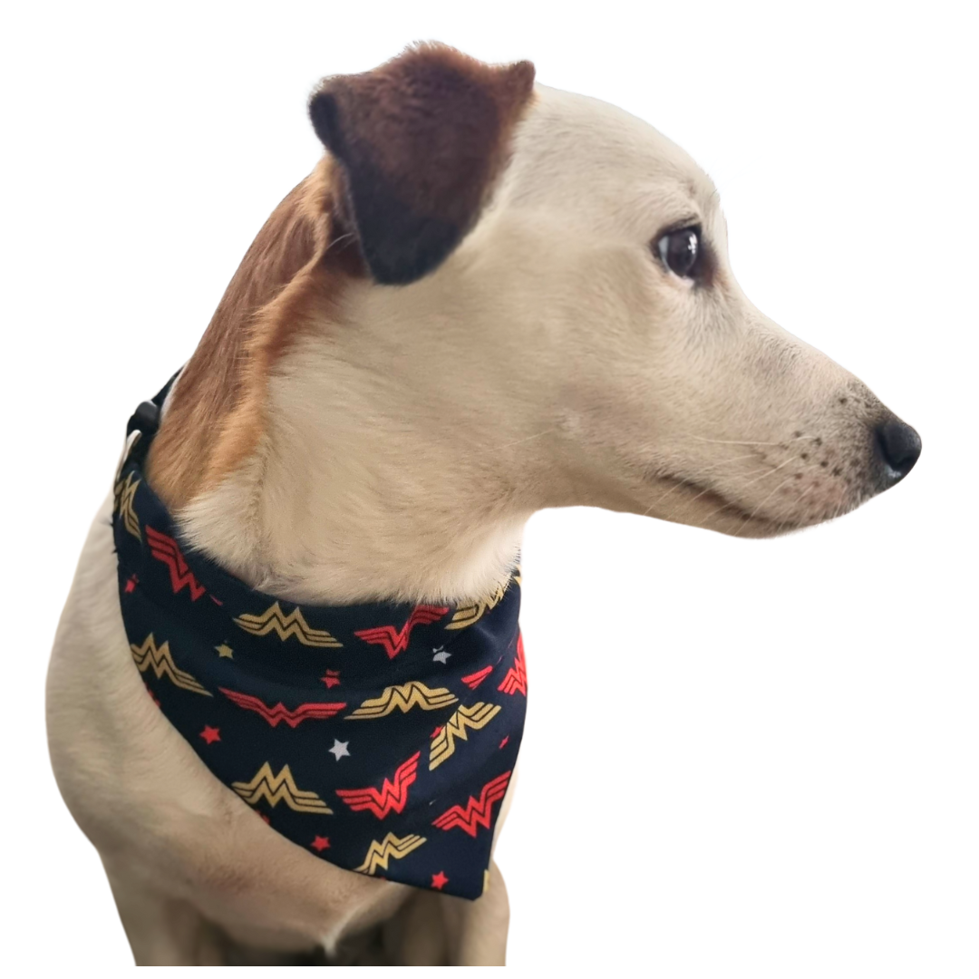 Wonder Women Logo Bandana With Collar