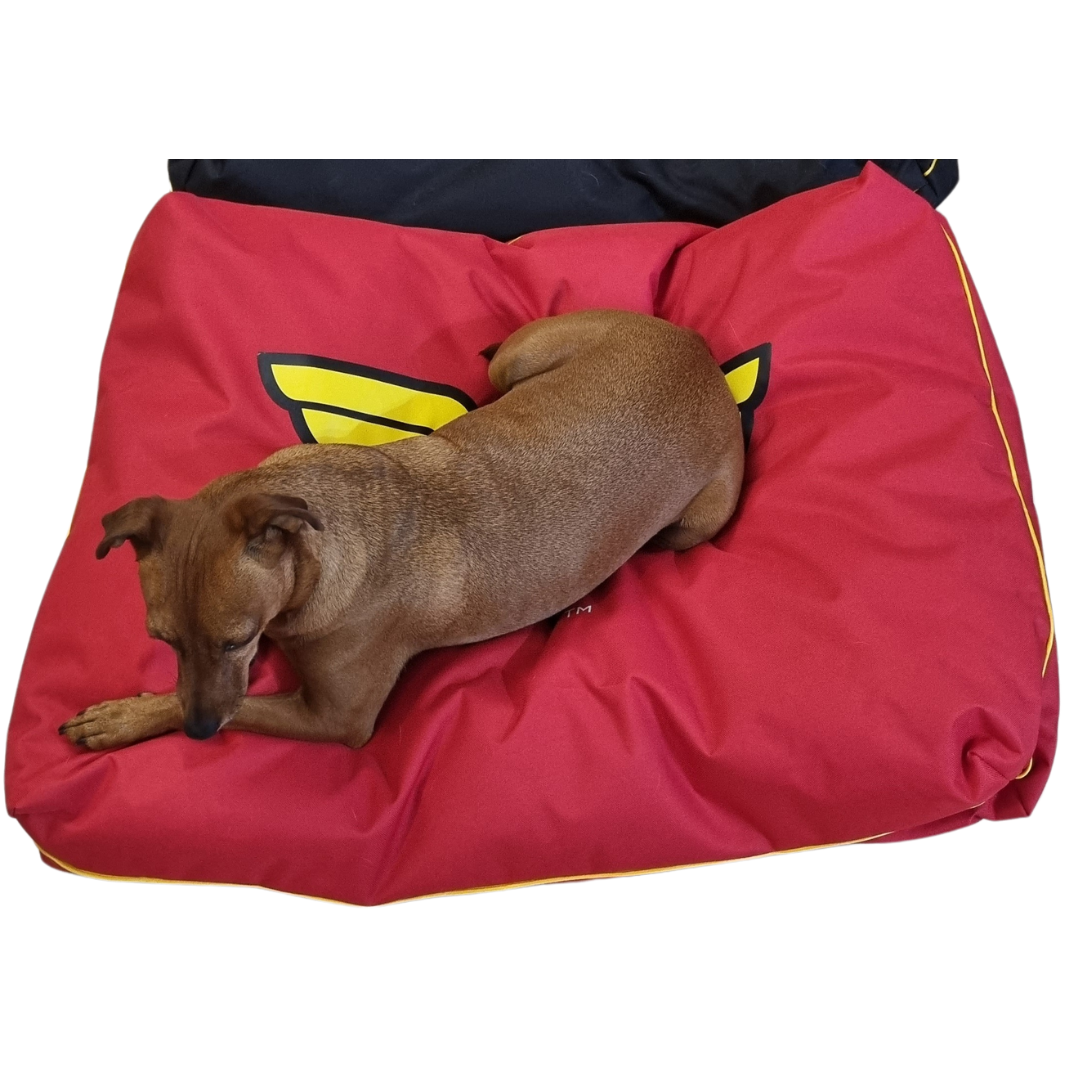 Wonder Women Pet Bed With Print